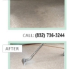 Steam Carpet Cleaning Pasadena TX gallery