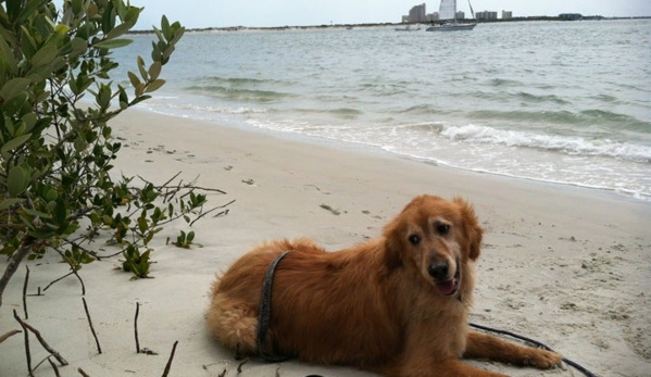 Lighthouse Point Park - Ponce Inlet, FL