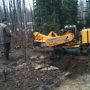 Joe's Stump Grinding