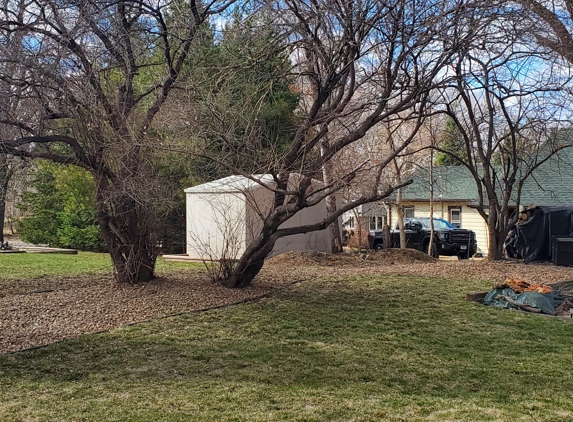 B & M Tree Service & Landscaping - Pierz, MN. dead/split branches