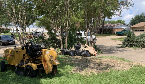 Texas Treehouse Tree Service & Stump Grinding - Mesquite, TX