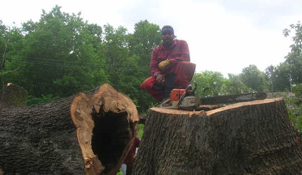 Rowland Tree Service - Cabot, AR