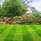 High Detail Lawn Maintenance