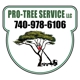 Pro-Tree Service