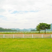 Gallery Image Number 8