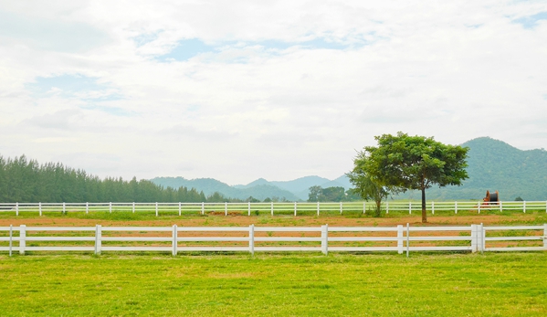 RJ Fencing