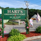 Hart's Greenhouse & Florist