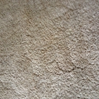 ColorFix Carpet Color Repair