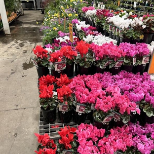 Bunnings Box Hill Warehouse - Box Hill South, VIC