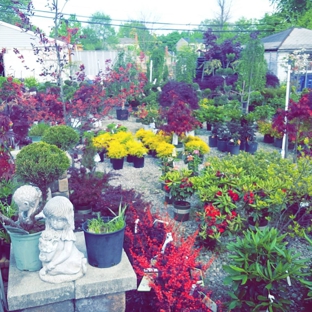 Merlino's Bushel Center Nursery - Westland, MI