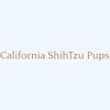 California ShihTzu Pups gallery