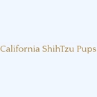 California ShihTzu Pups