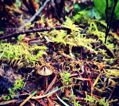 South Whidbey State Park - Freeland, WA