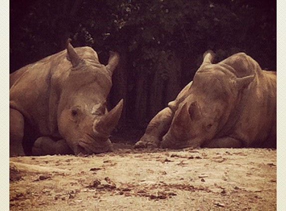 Louisville Zoo - Louisville, KY