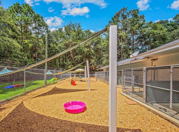 Fayetteville Pet Resort - Fayetteville, NC