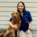 Courtenay Animal Hospital - Veterinarians