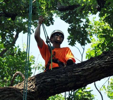 Arborlogical Trees & Turf - Lubbock, TX