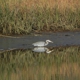 Visit Tillamook Coast