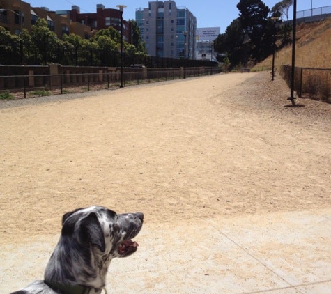 Rincon Hill Dog Park - San Francisco, CA