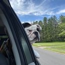 Chad Jacobson - State Farm Insurance Agent - Homeowners Insurance