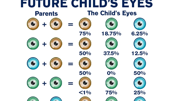 Fillmore  Eye Clinic