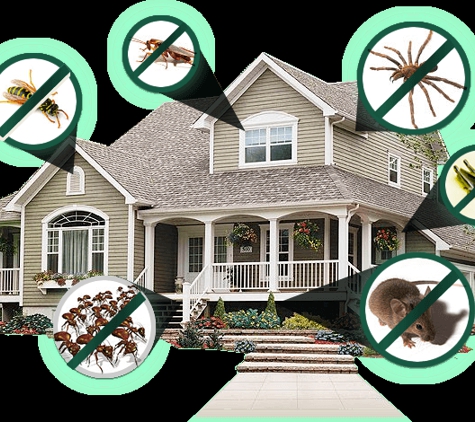 DJ Cunningham Pest Control - Lake Worth, FL