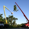 Chattanooga Tree Service Inc gallery