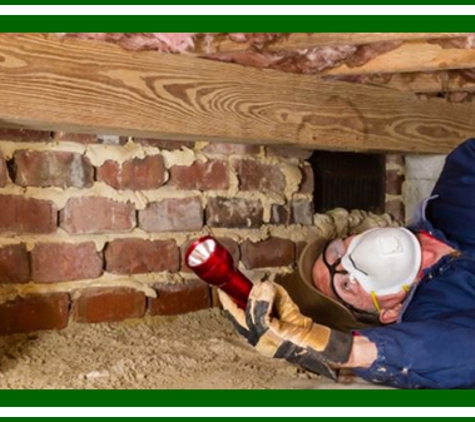 Bourne Pest Control - Joslin, SA. Over 40 Years Of Experience