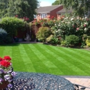 Heavenly Lawn & Landscaping - Lawn Maintenance