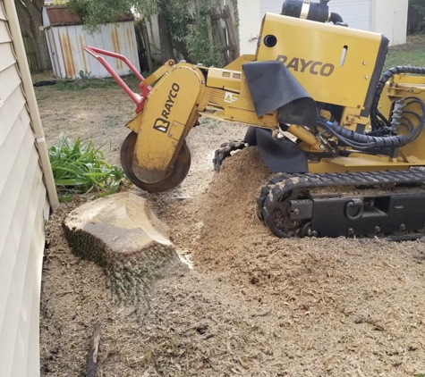 Adolfo Tree Service - Houston, TX. Rayco Stump Grinding in Houston Texas affordable service
