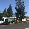 Maldonado Brothers Landscape & Tree Service gallery