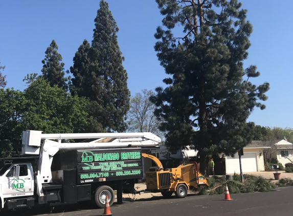 Maldonado Brothers Landscape & Tree Service - Fresno, CA