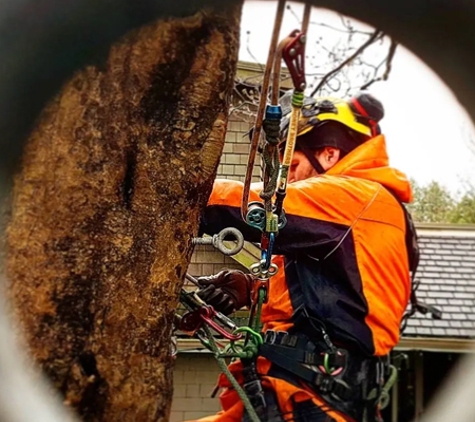 Global Arborist Australia - Port Melbourne, VIC