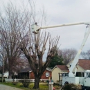 Skipworth Tree Service, L.L.C. - Tree Service