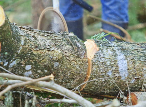 Naturaliste Tree Care - Dunsborough, WA