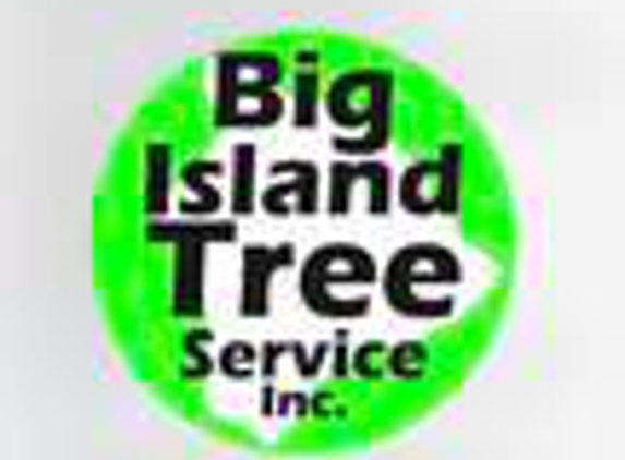 Big Island Tree Service Inc - Keaau, HI