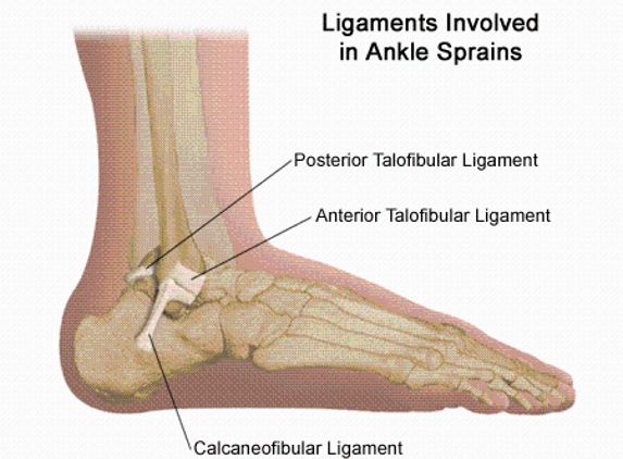 Podiatry North - St Leonards, NSW