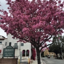 La Petite Ecole Francaise - Tutoring