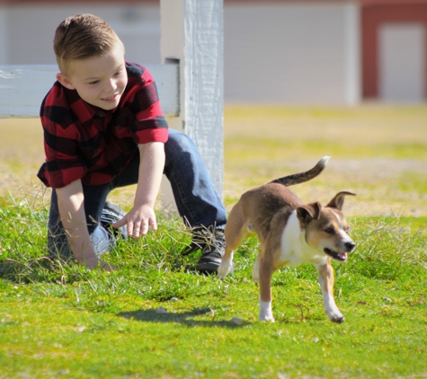 Family Paw - Henderson, NV