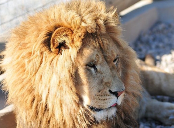 Lake Tobias Wildlife Park - Halifax, PA