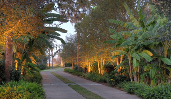 Southern Lights - Saint Simons Island, GA