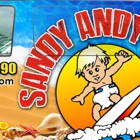 Sandy Andy's Rentals