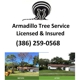 Armadillo Tree Service L.L.C.