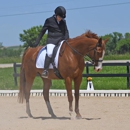 Chesapeake Central Equestrian, L.L.C. - Horse Boarding