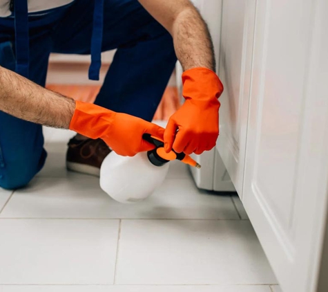 Bligh Park Pest Control - South Windsor, NSW