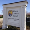 Friends of Maine Coastal Islands National Wildlife Refuge gallery