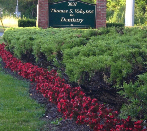 Thomas S. Valo, D.D.S., Inc. - Toledo, OH