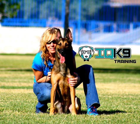 IQ K9 Training - Oceanside, CA