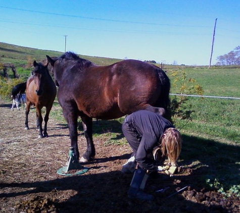 All Natural hoof Care - Aliquippa, PA