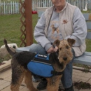 Quansa Kennels - Pet Training